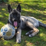 Profile picture of Niki